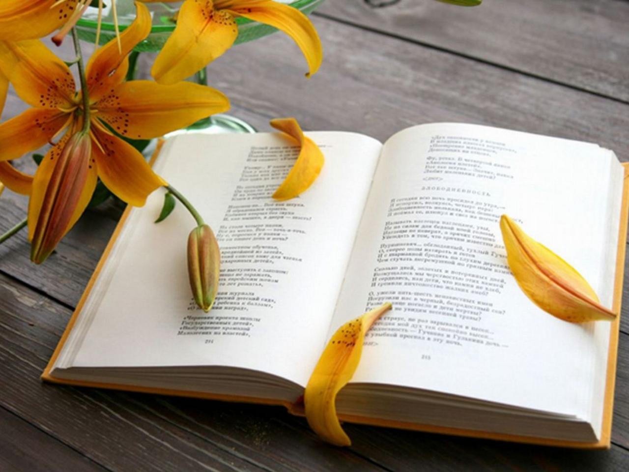 обои Жёлтая лилия с книгой фото