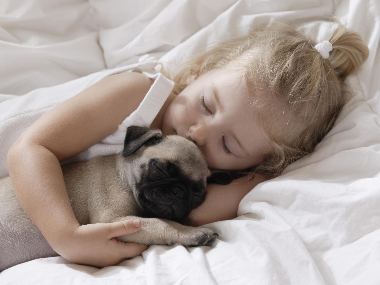 обои Девочка и щенок спят фото