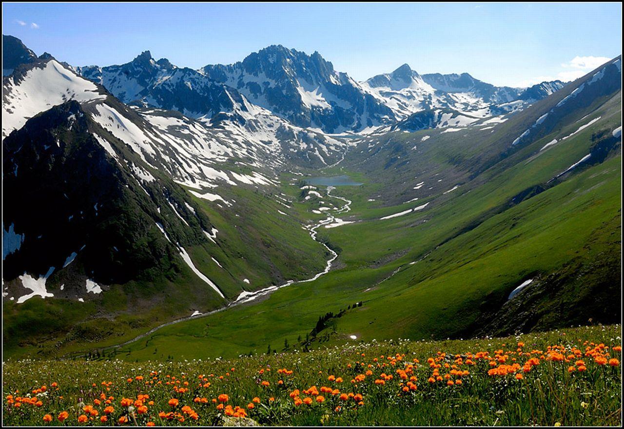 обои Горы,   реки и цветы фото