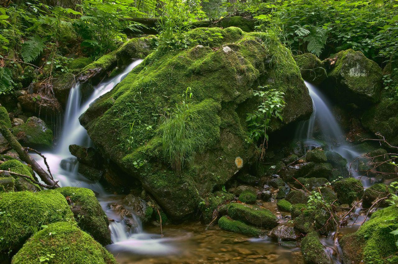 обои Огибая камни фото