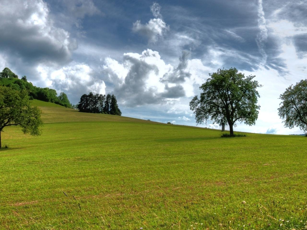 обои Зеленые луга и облачное небо фото
