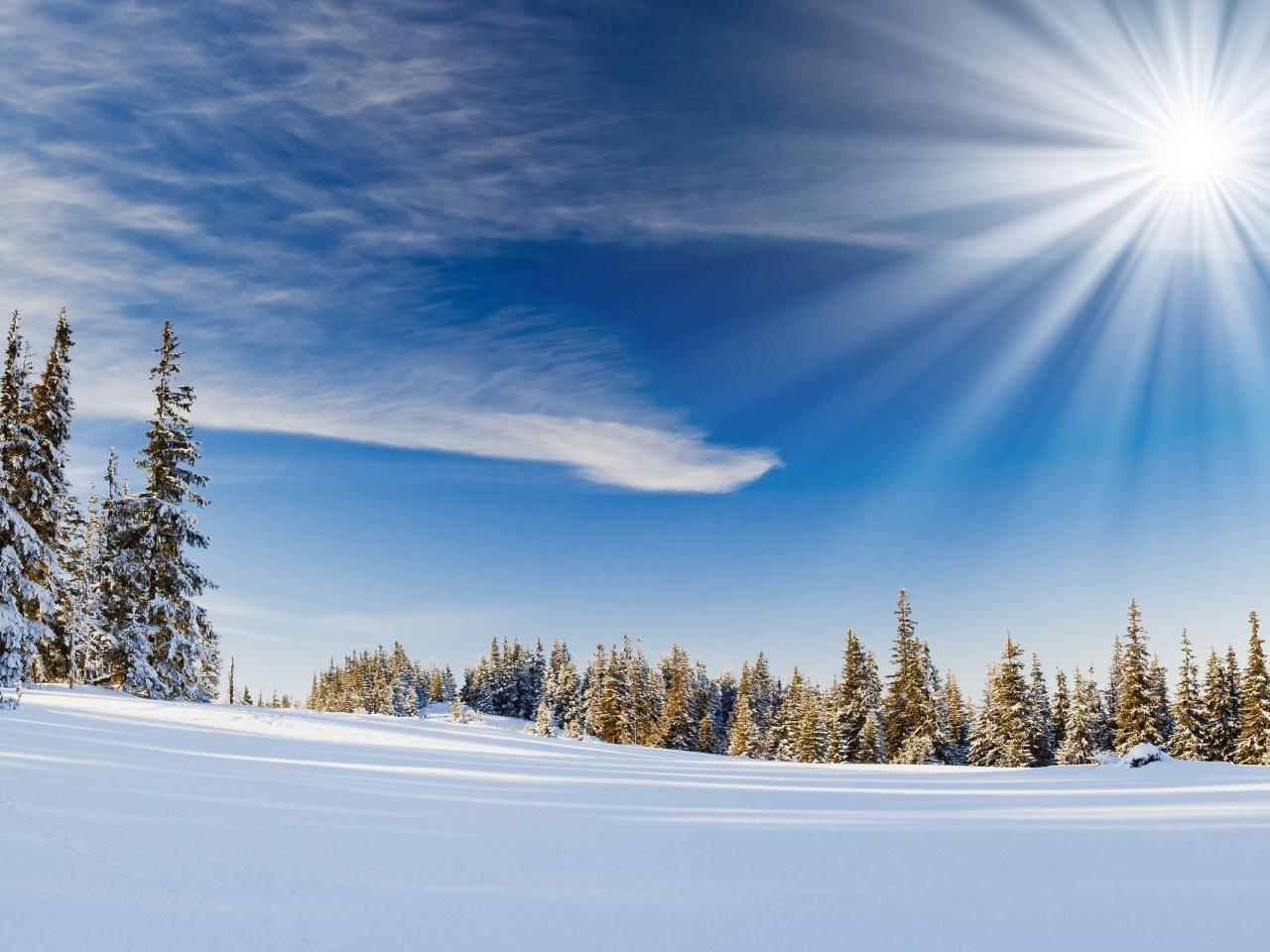 обои Солнечный рассвет среди зимы фото