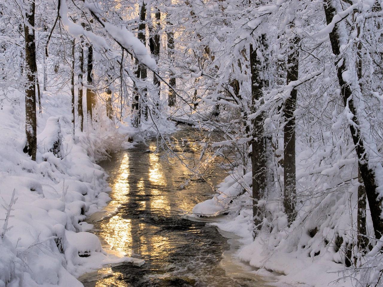 обои Деревья снежные у ручья фото