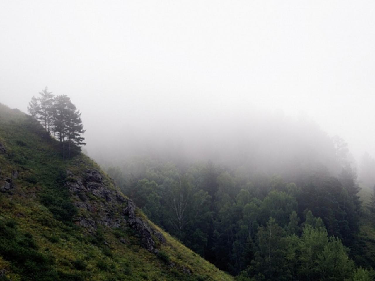 обои Надвигается туман фото