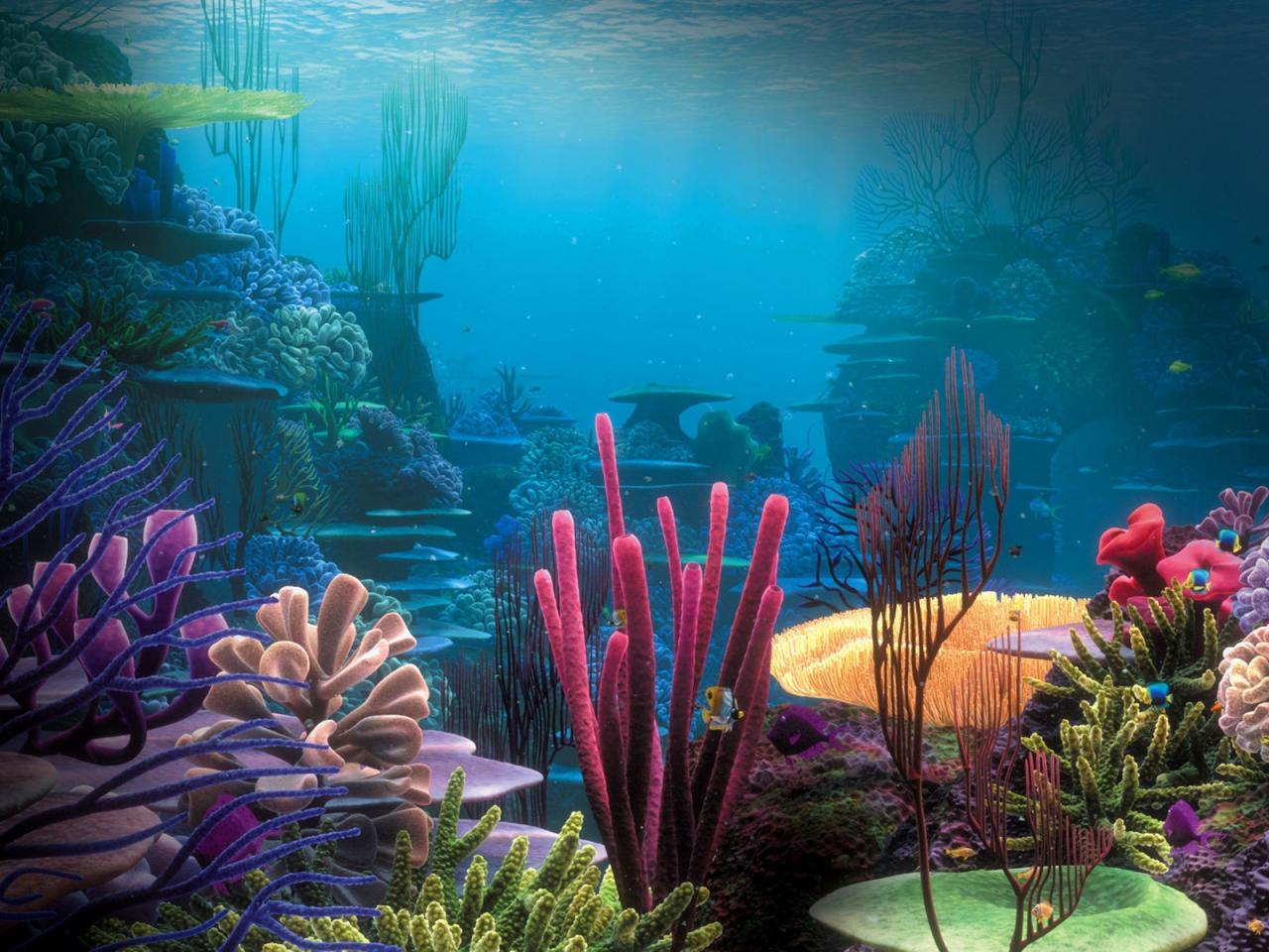 обои Красивый и яркий подводный мир фото