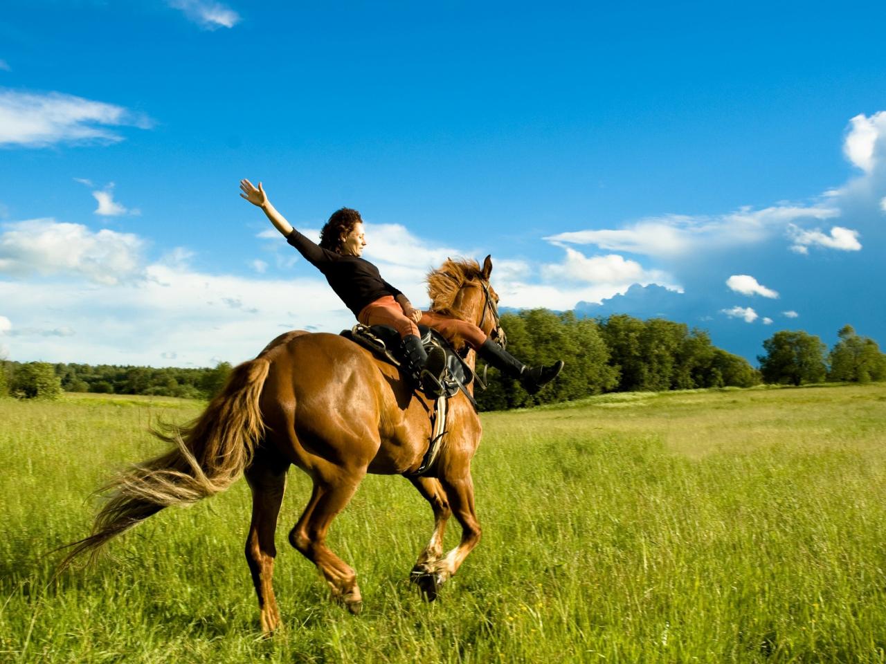 обои Девушка джигит на коне фото