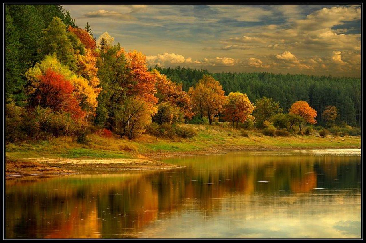 обои Осенний берег фото