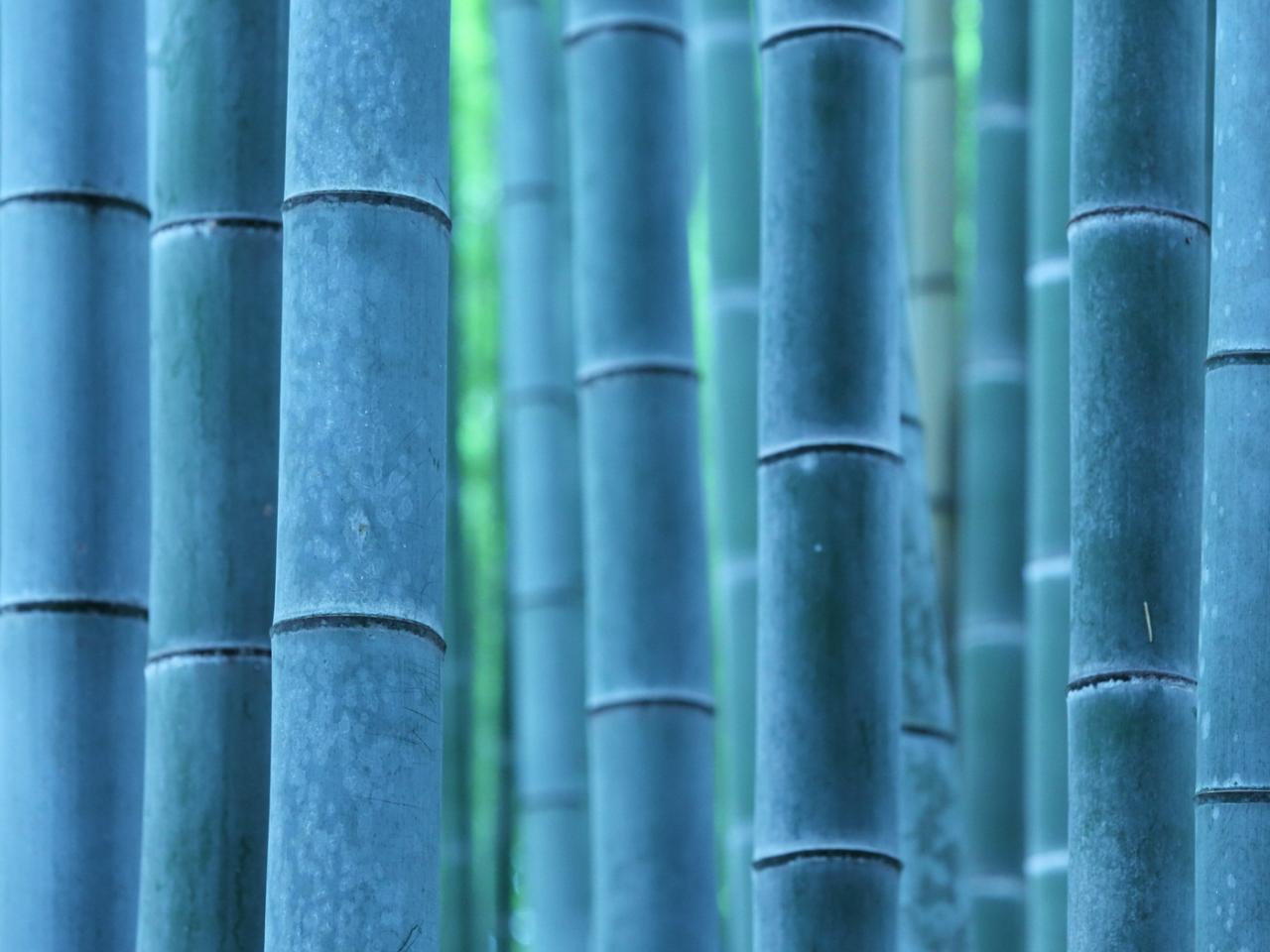 обои Бамбуковые палки фото