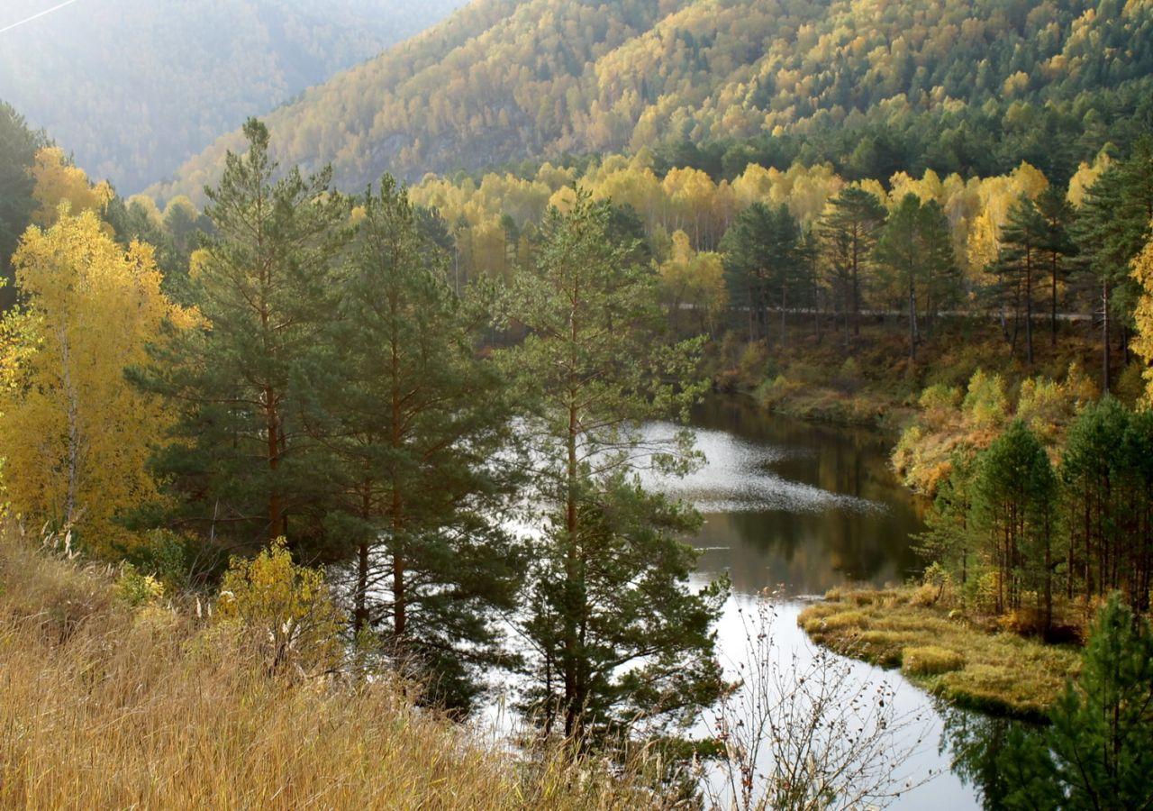 обои Уральская осень фото