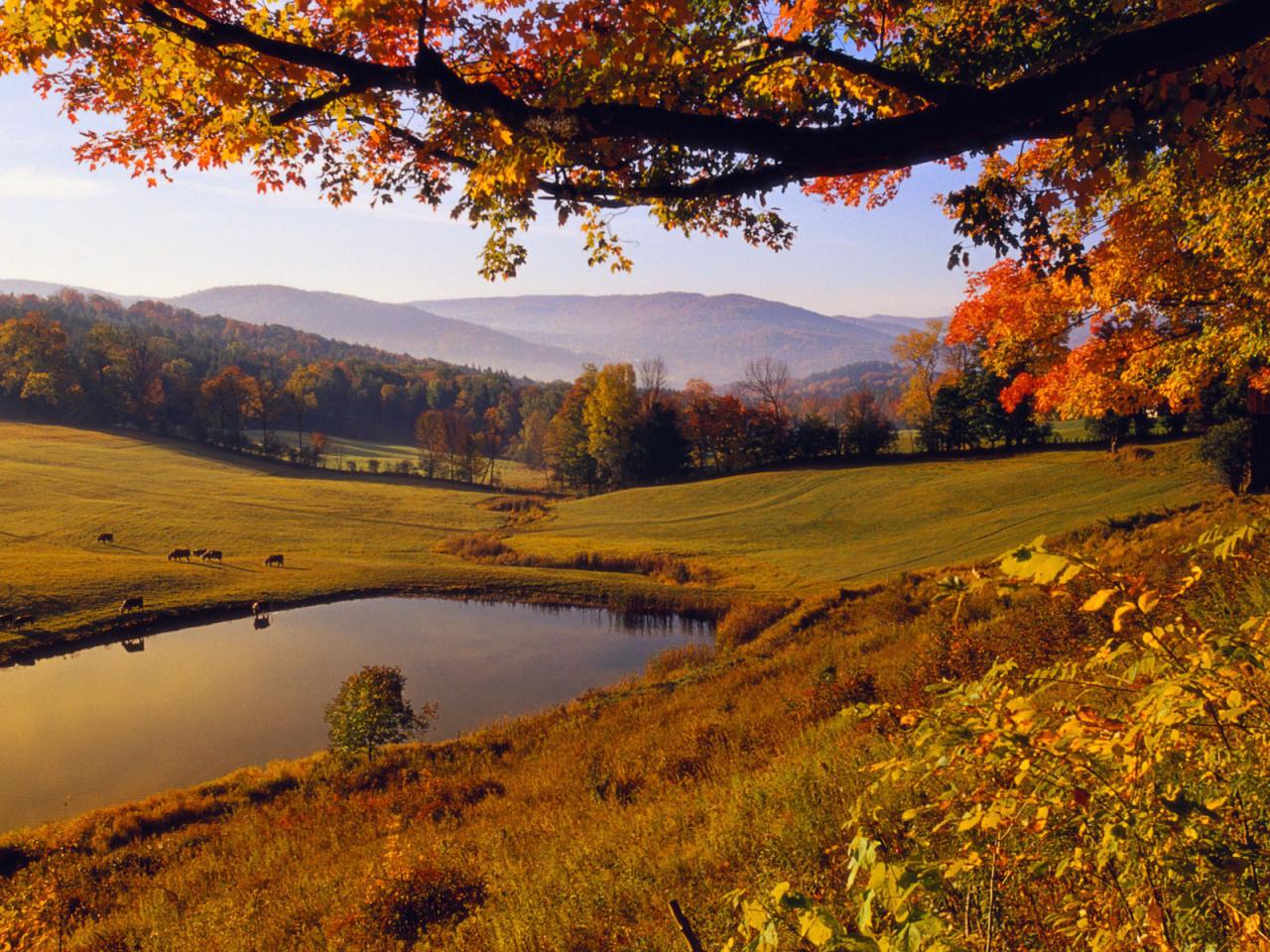 обои Осенний вид с лугами и прудом фото