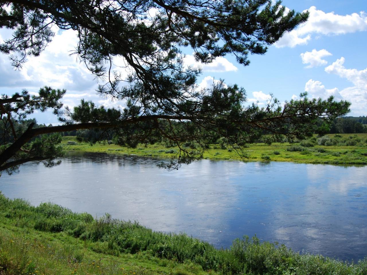обои Река на равнине в лесостепи фото
