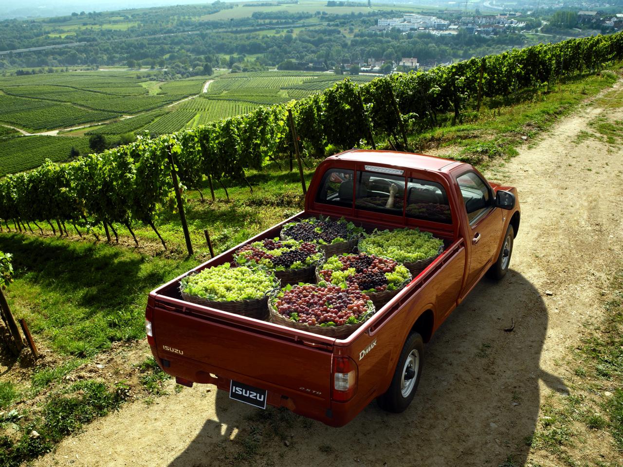 обои Isuzu D-Max Single Cab 2006 виноград фото