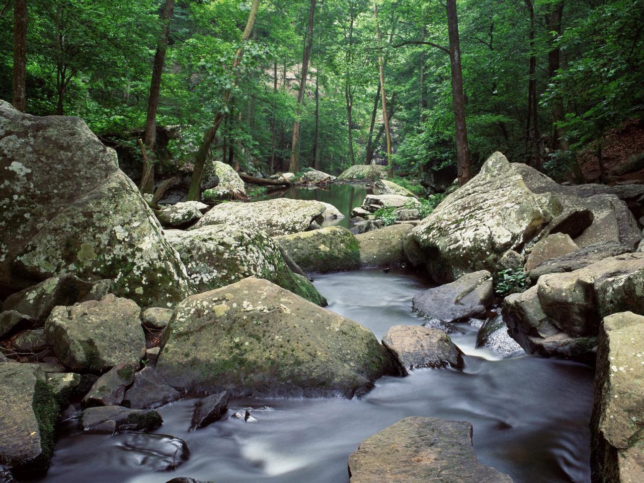 обои Река в лесу и камни большие фото