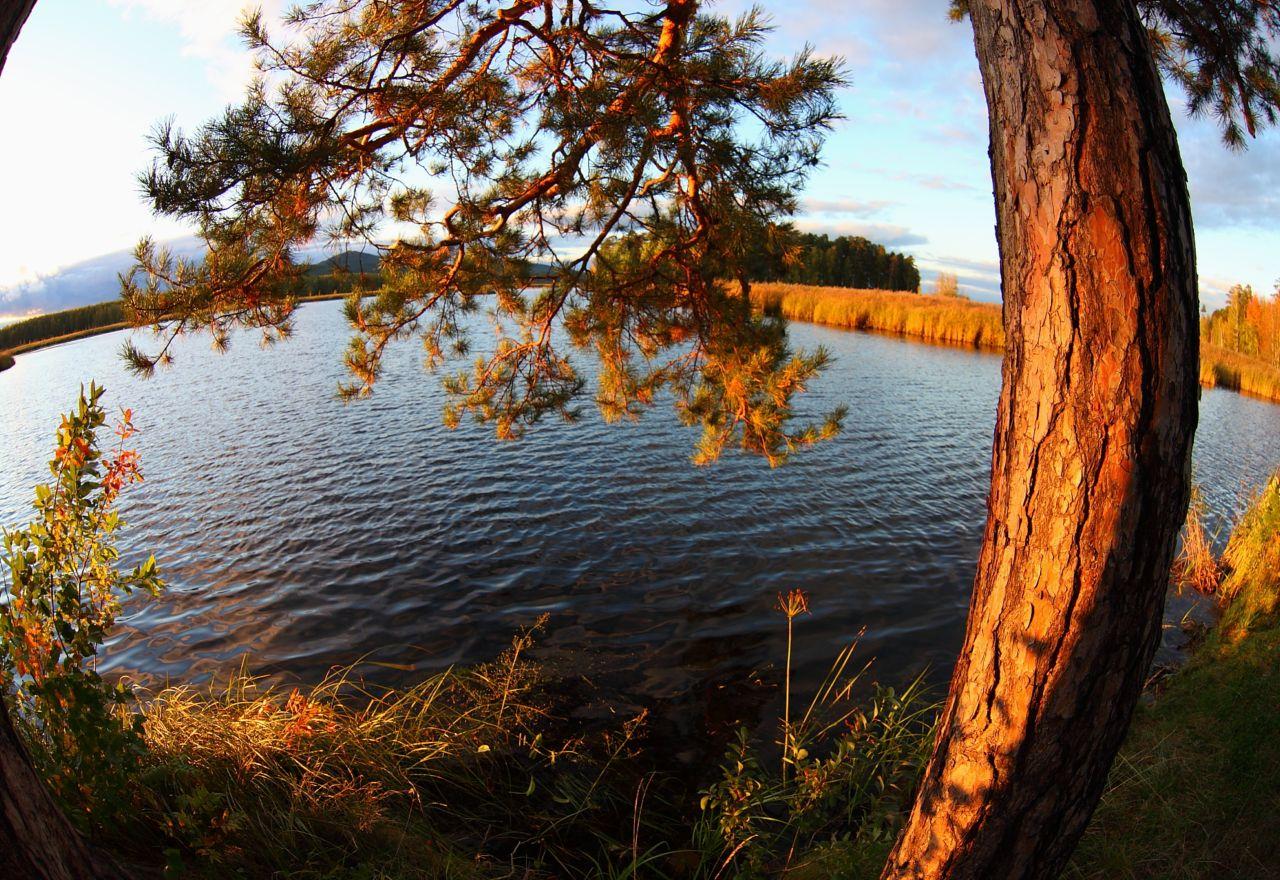 обои Осень на таёжном озере фото