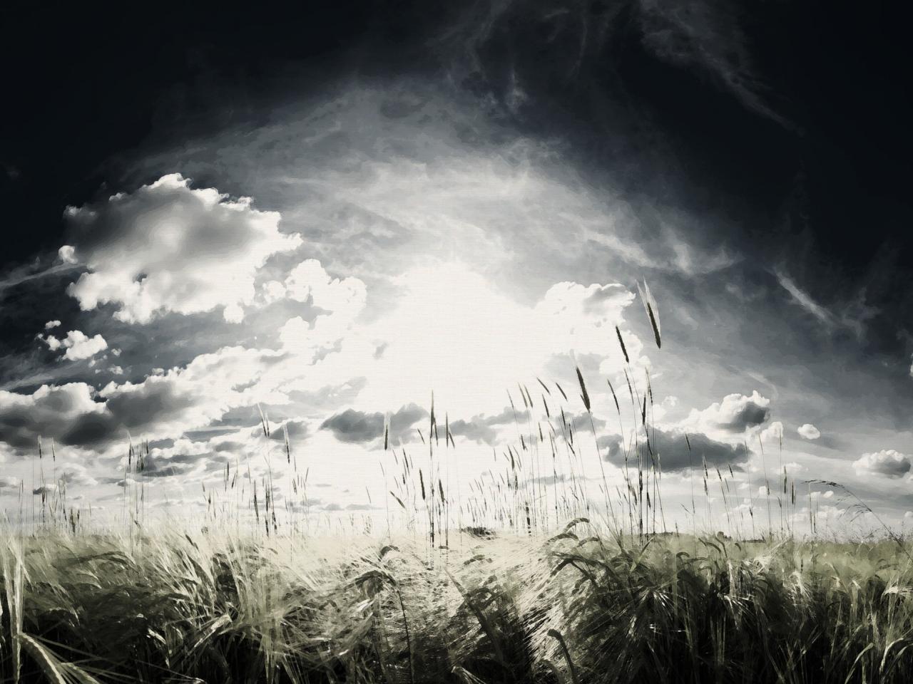 обои Рисунок пшеничного поля и облачного неба фото