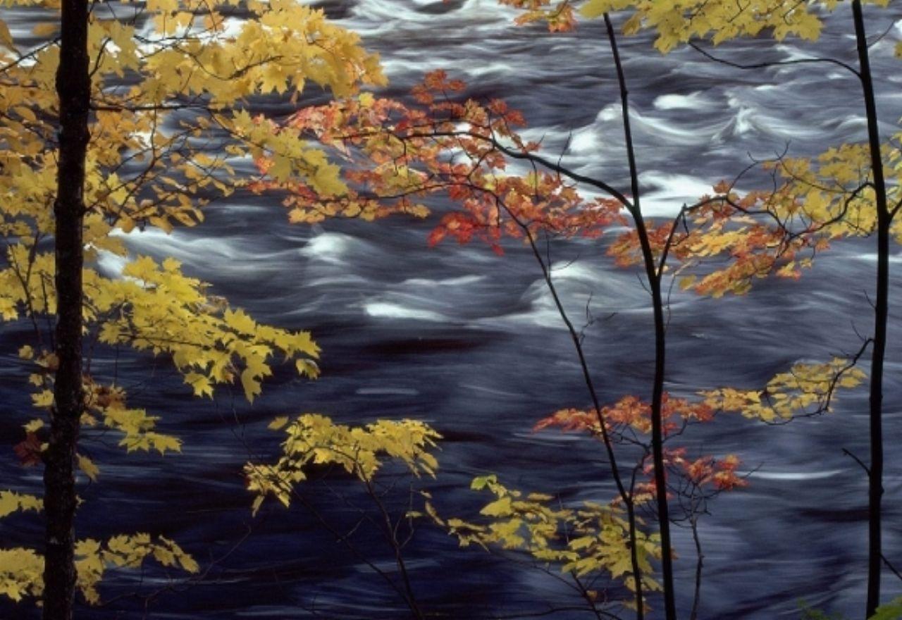 обои Осенняя река фото