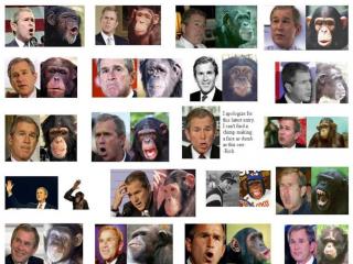 обои Джордж Буш и обезьяны фото
