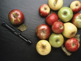 обои Разноцветные яблоки фото