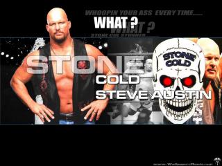 обои Stone Cold Steve Austin фото