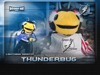 обои Thunderbug - талисман Тампа-Бей фото
