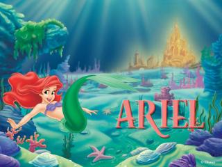 обои Ariel фото