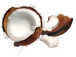 обои Спелый кокос фото