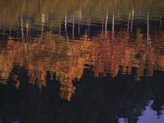 обои Осеннее озеро фото