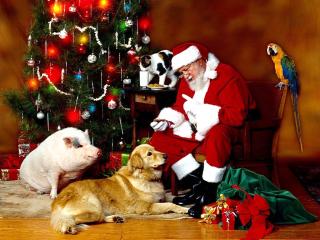 обои для рабочего стола: Санта Клаус с животными