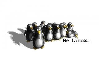 обои для рабочего стола: Be Linux