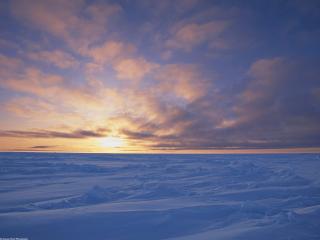 обои Arctic Ice Pack at Sunset, Canada фото