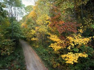 обои для рабочего стола: Осенняя дорога, Национальный Парк Грейт-Смоки-Маунтинс. Шт. Теннесси