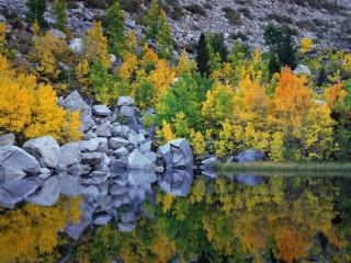 обои Осенние цвета на озере. Калифорния фото
