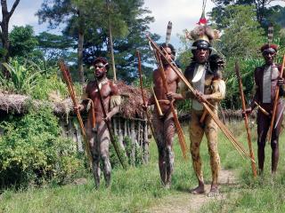 обои Племя «Дани» в Новой Гвинее фото