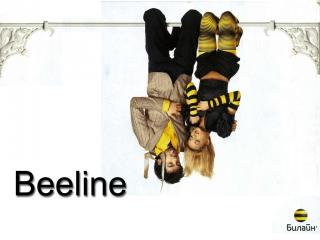 обои BeeLine - летучие мыши фото