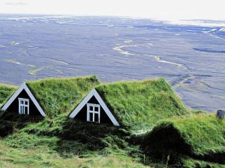 обои Дома в траве фото