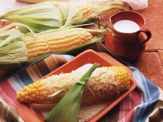 обои Кукуруза под сырной крошкой фото