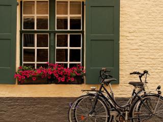 обои Велосипед у окна фото