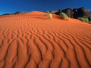 обои Crawling on the Dune, Namib Rand Nature Reserve, Namibia фото