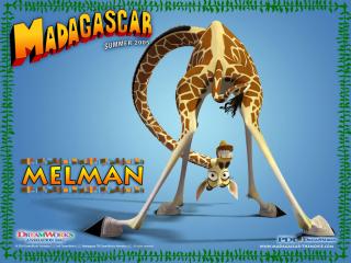 обои Мадагаскар жираф фото