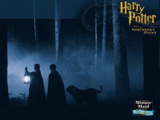 обои Harry Potter в темноте фото