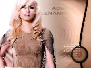 обои Адриана Скленарикова (Adriana Sklenarikova-Karembeu) в прозрачной кофточке фото