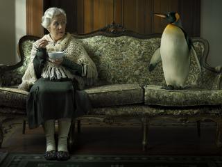 обои для рабочего стола: Бабушка и пингвин