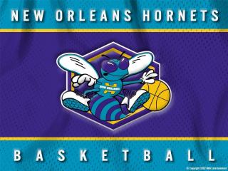 обои New Orleans Hornets фото
