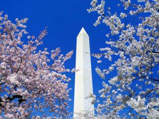 обои Монумент в Вашингтоне фото