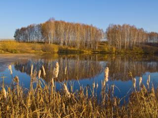 обои Осенний пейзаж у пруда фото