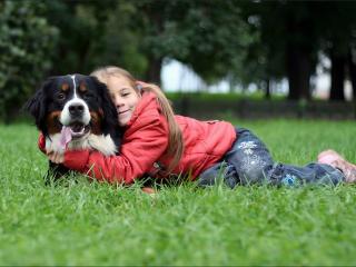 обои Счасливая девочка с собакой фото