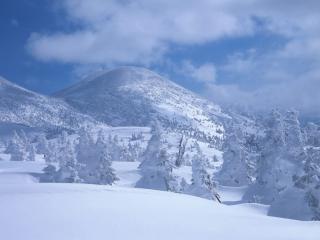 обои Горы в снегу фото