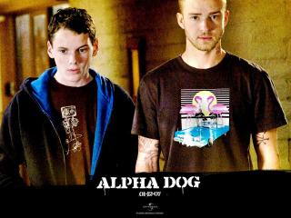 обои Alpha Dog фото