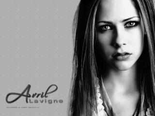 обои Avril Lavigne фото