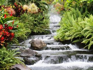 обои Каскадный водопад, окаймленный цветами фото